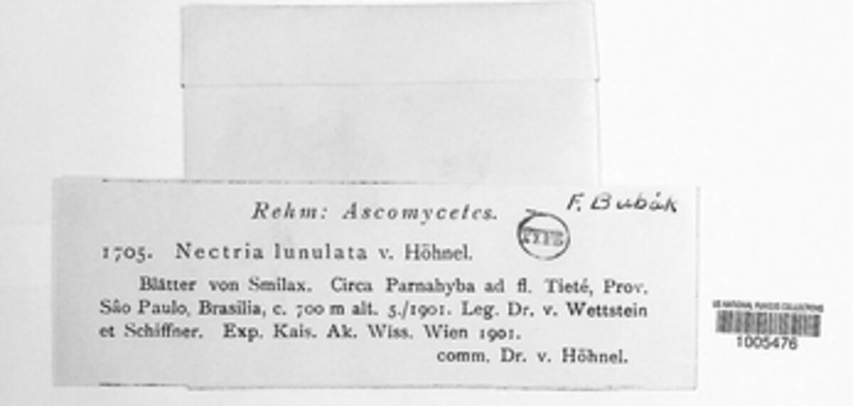 Nectria lunulata image